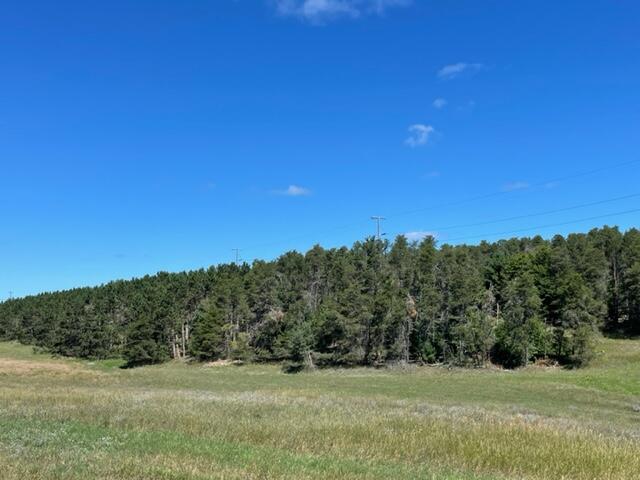37 Acres 2 Mile Road Reed City, MI 49677 - Photo 2 of 5 IMG_6655