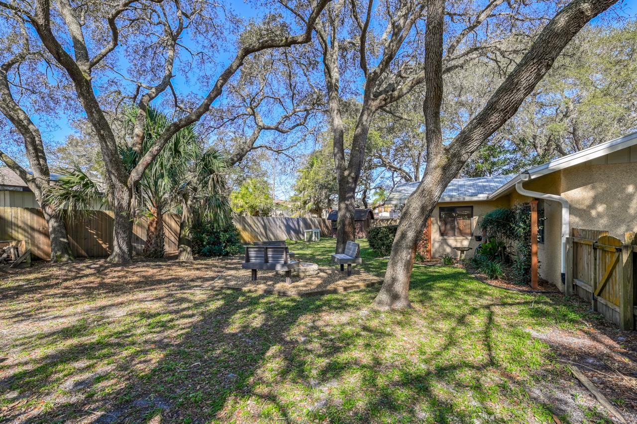 336 Lobelia Road St. Augustine, FL 32086 - Photo 22 of 46 a tree in the middle of a yard