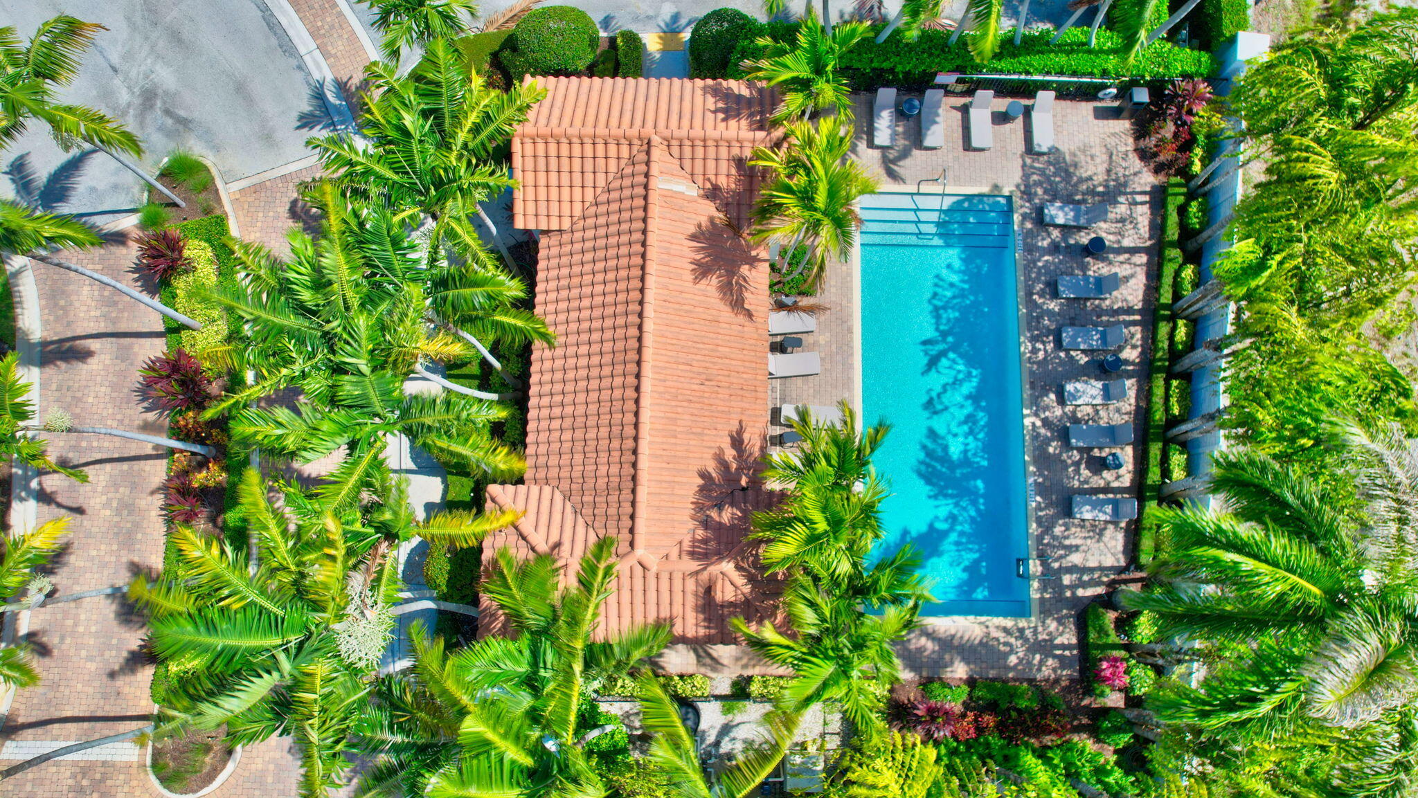 3630 Wolf Run Lane Boynton Beach, FL 33435 - Photo 45 of 59 a plant that is in a garden