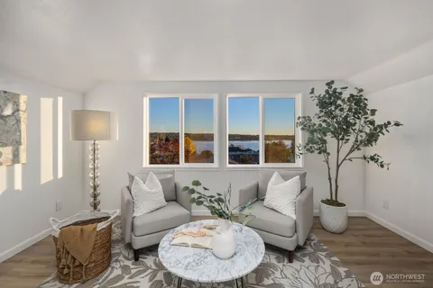 a living room with furniture and a potted plant