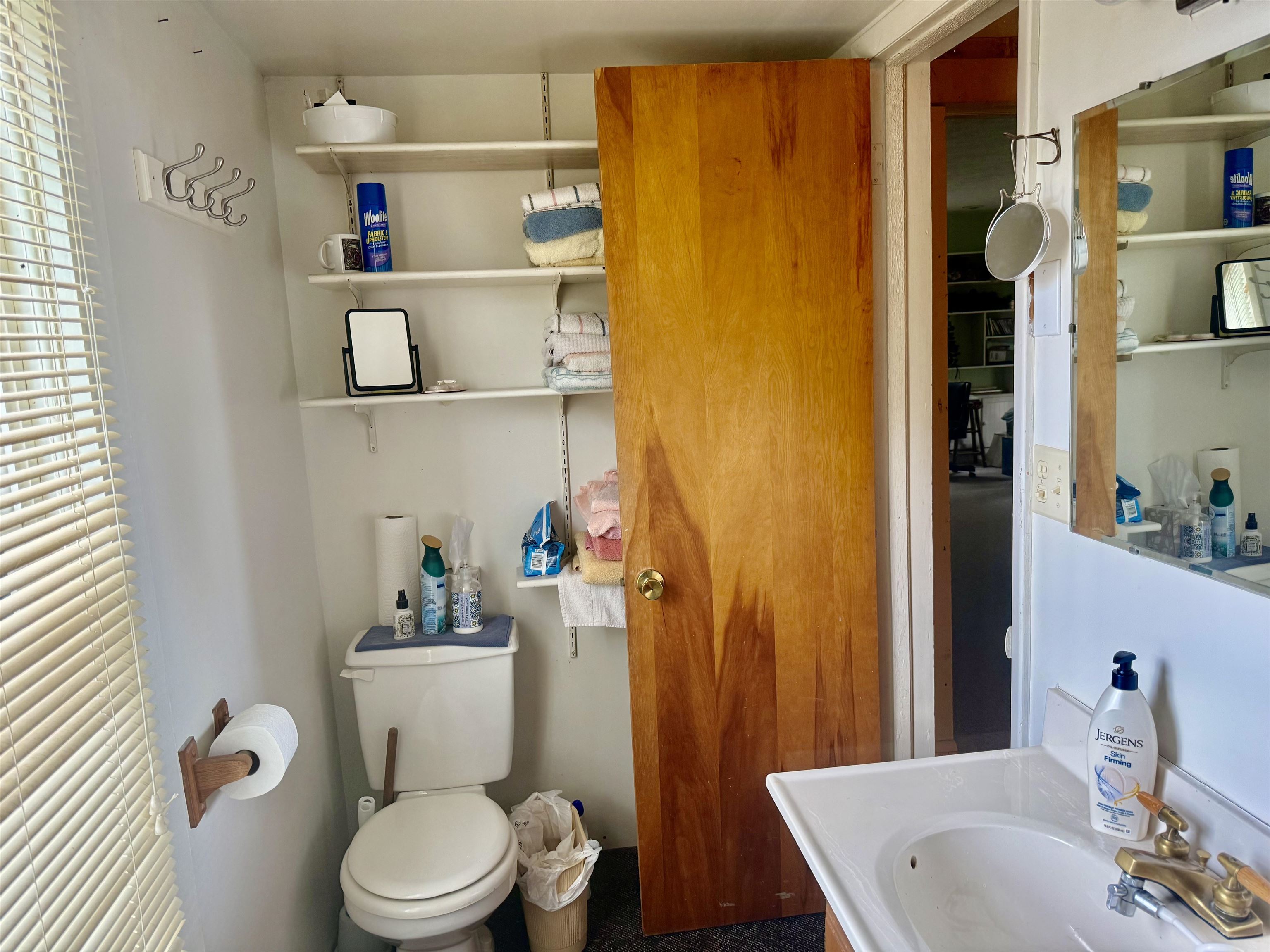 2298 West Hayes Road Ithaca, MI 48847 - Photo 22 of 54
