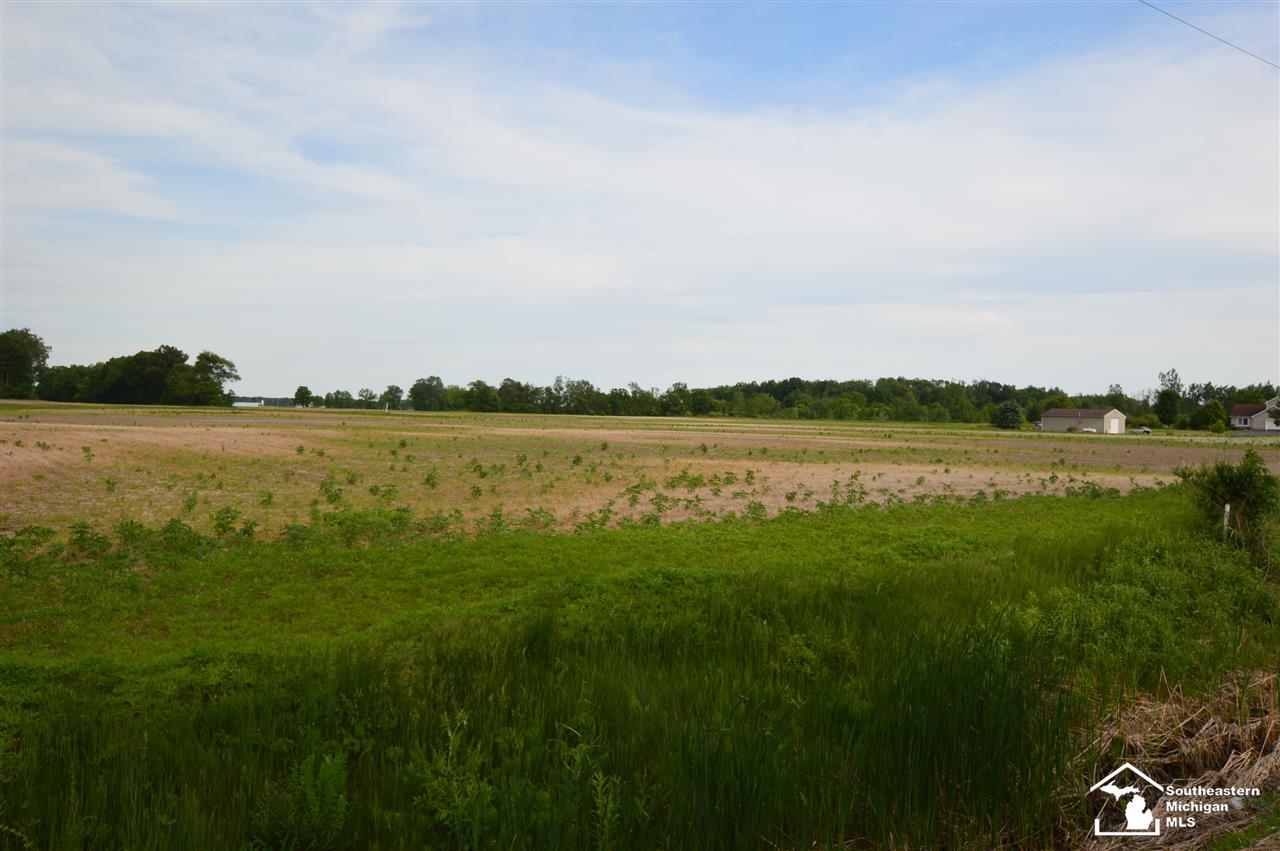 50 Yensch Road Dundee, MI 48131 - Photo 3 of 7