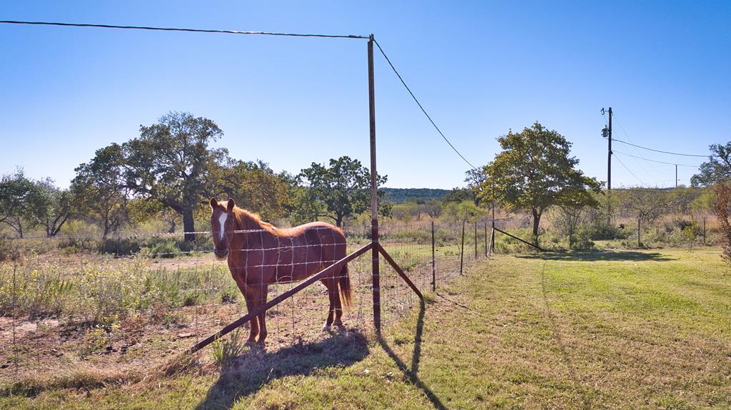 1537 Sandy Lane Road Mason, TX 76856 - Photo 7 of 52