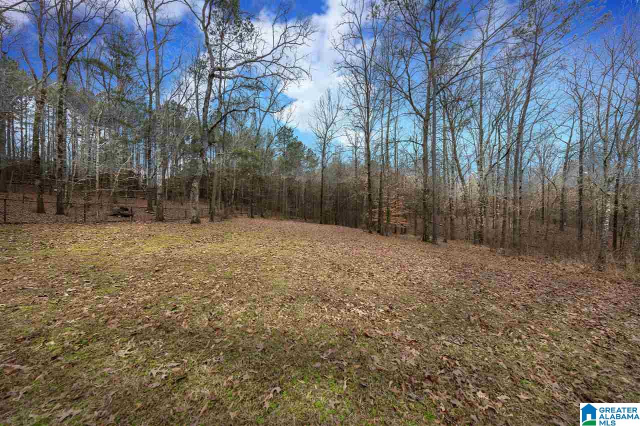 428 Sunset Lake Circle Chelsea, AL 35043 - Photo 4 of 30