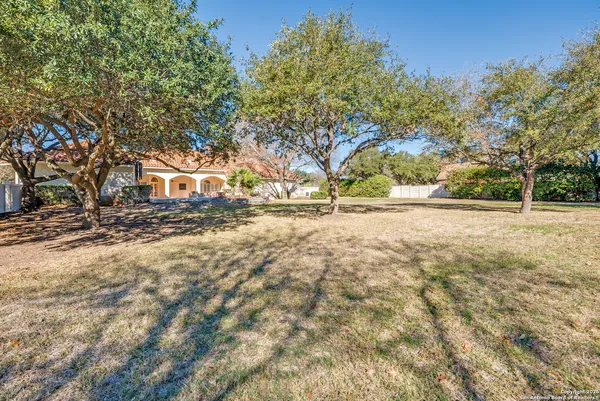 a view of dirt yard with a large tree