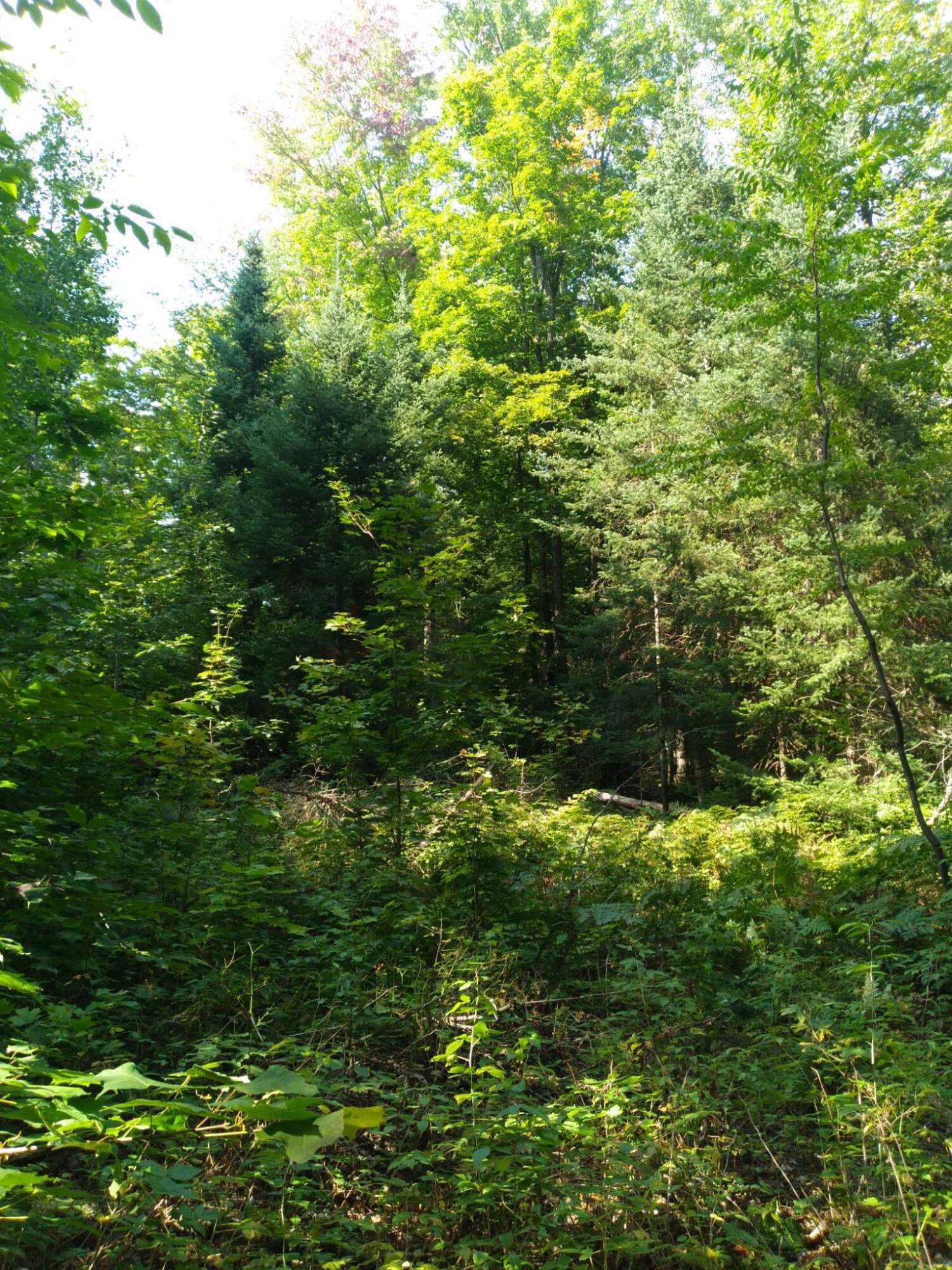 1 East Gogomain Road Pickford, MI 49774 - Photo 1 of 6 Gallery Image 1