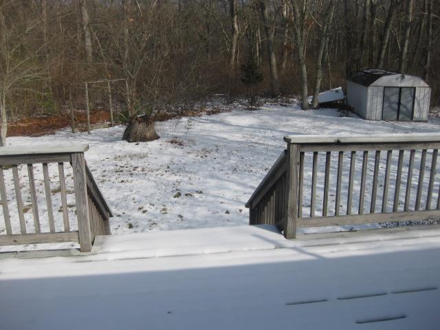 380 Governor Prence Road Eastham, MA 02642 - Photo 28 of 28 a view of a backyard with a barn