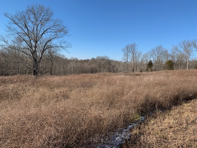 2285 Greenup Road Owenton, KY 40359 - Photo 12 of 13 Gallery Image 12