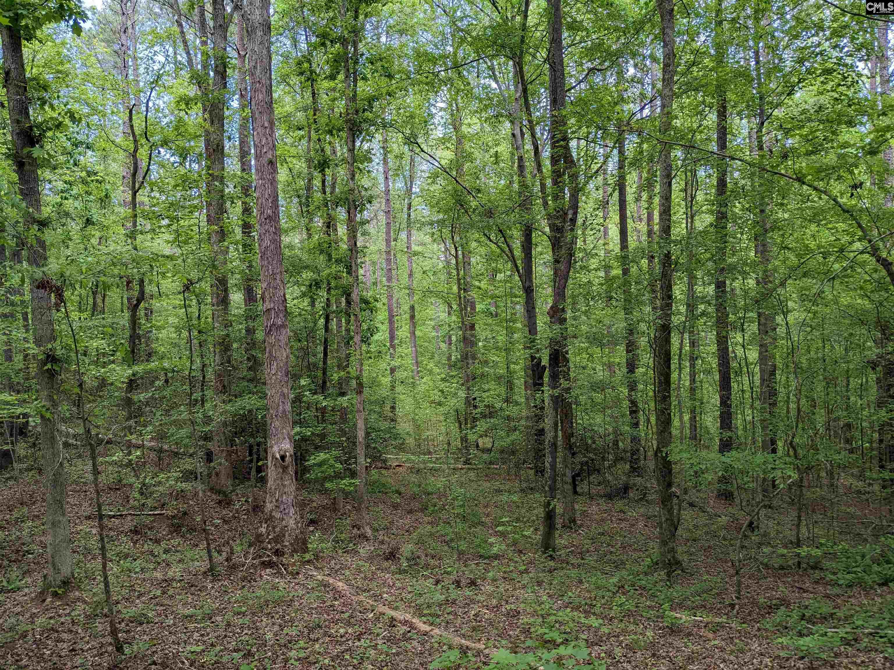 Syrup Mill Road Ridgeway, SC 29130 - Photo 12 of 33