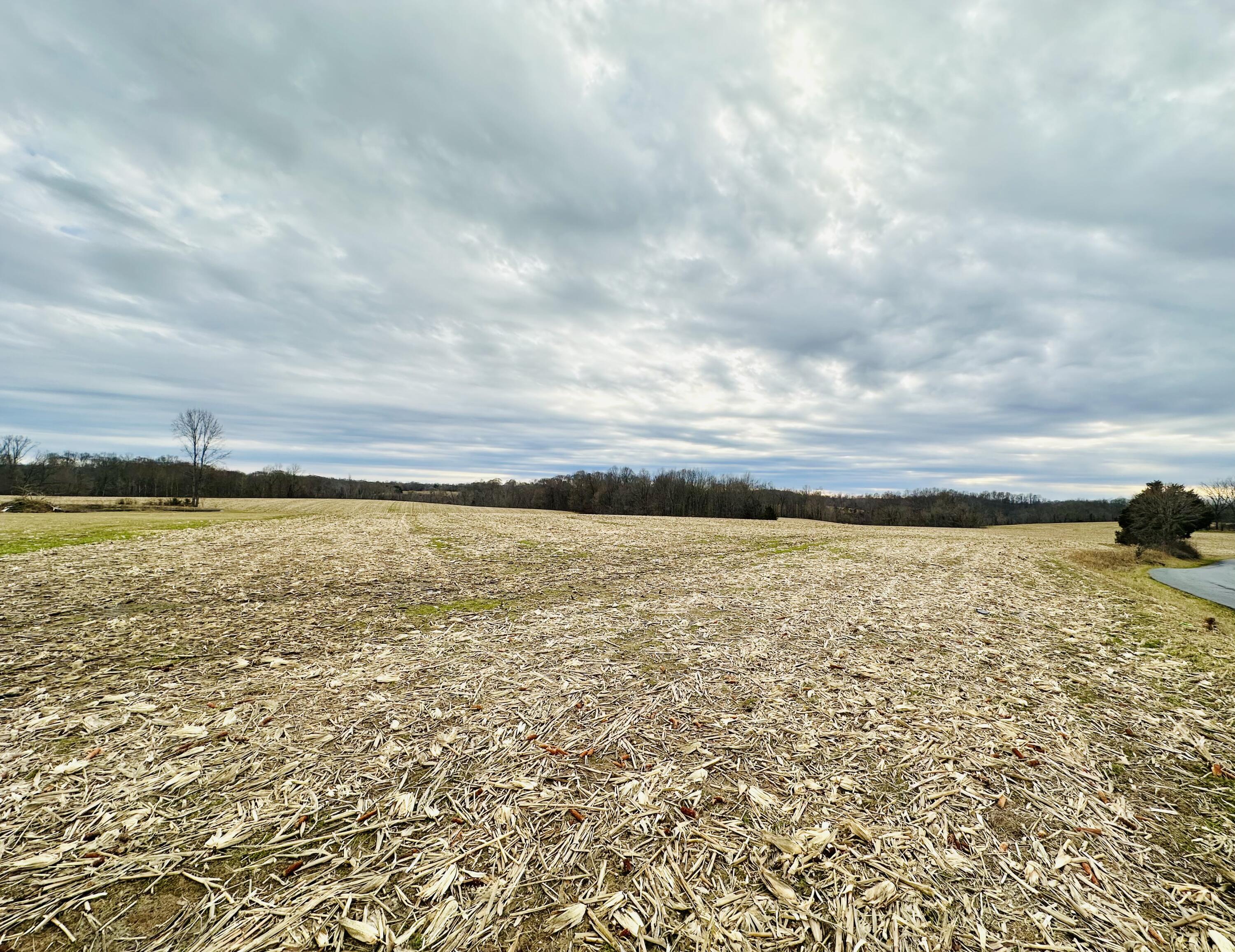 0 Taylor Ford Road Columbia, KY 42728 - Photo 2 of 7 IMG_2188