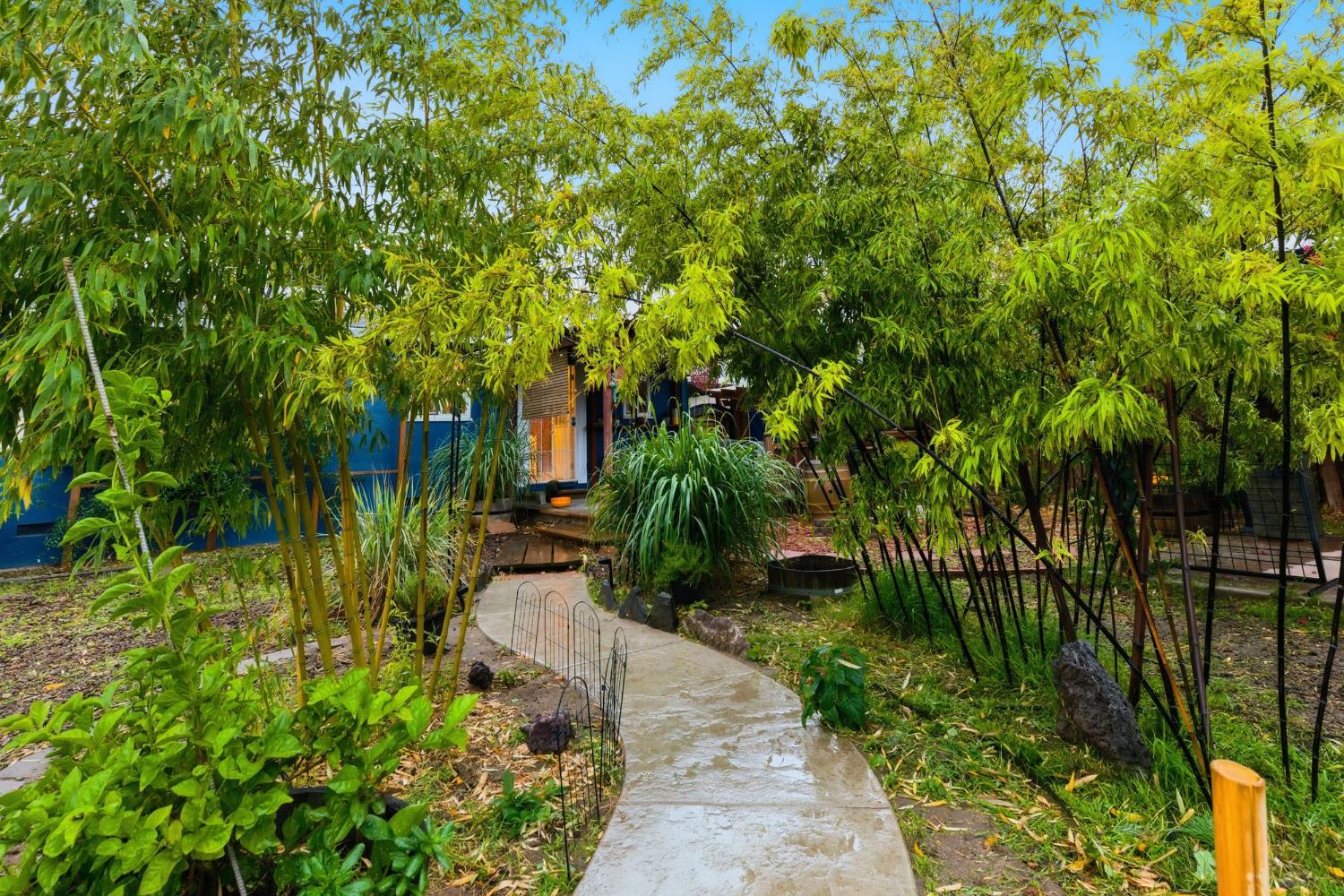 405 East Edison Street Manteca, CA 95336 - Photo 29 of 38 a backyard of a house with lots of green space and trees all around