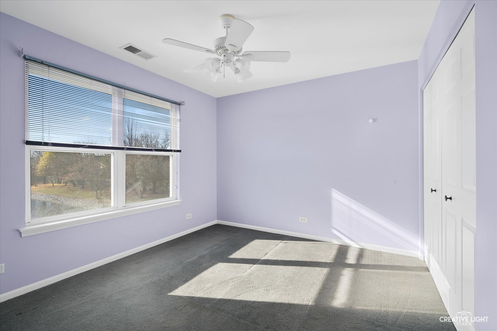 3126 Crystal Rock Road Naperville, IL 60564 - Photo 13 of 17