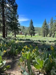 $375,000 | 15865 Exeter Court, Truckee, CA 96161