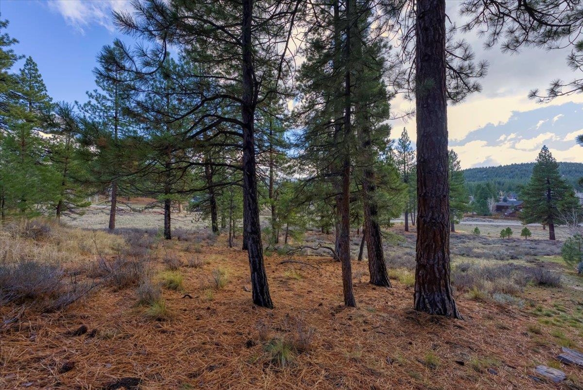 15865 Exeter Court Truckee, CA 96161 - Photo 15 of 24