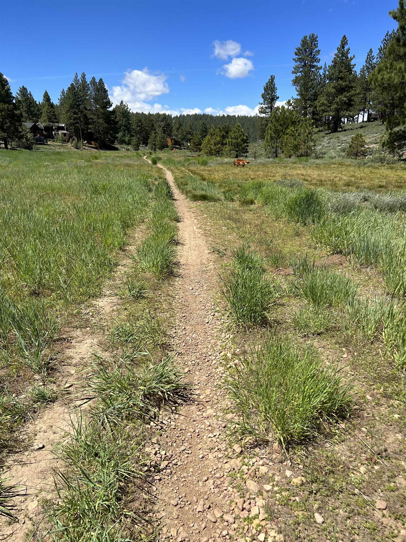 15865 Exeter Court Truckee, CA 96161 - Photo 19 of 24