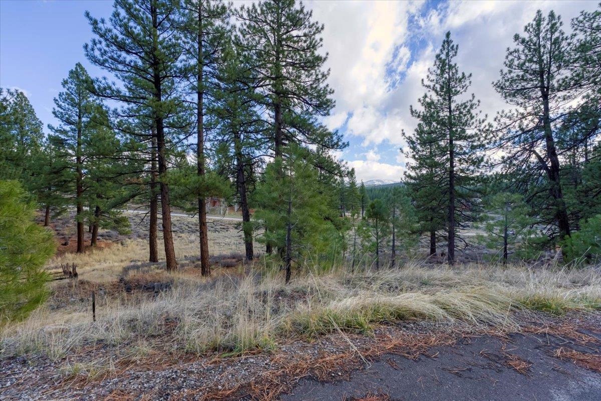 15865 Exeter Court Truckee, CA 96161 - Photo 22 of 24