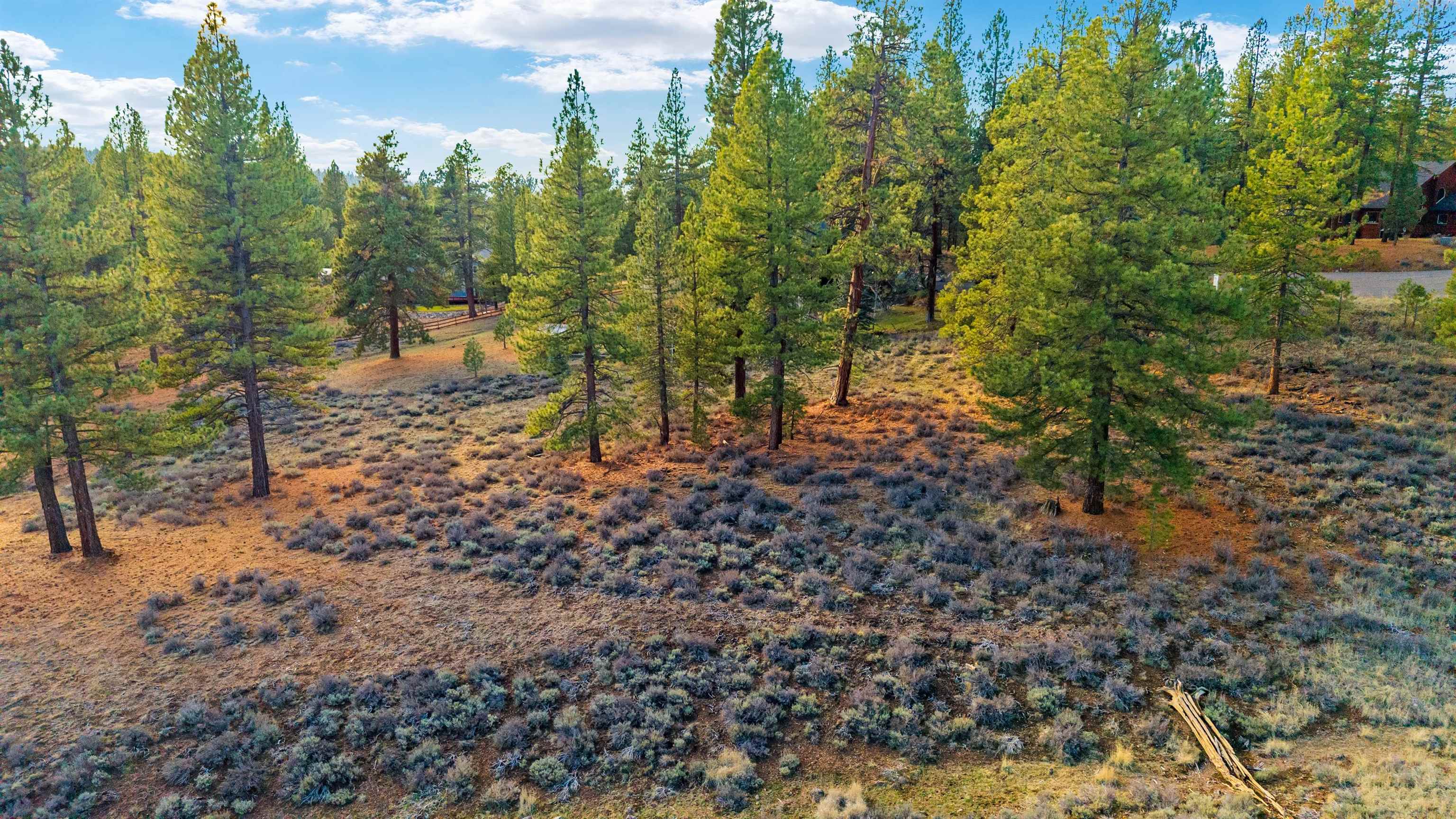 15865 Exeter Court Truckee, CA 96161 - Photo 4 of 24