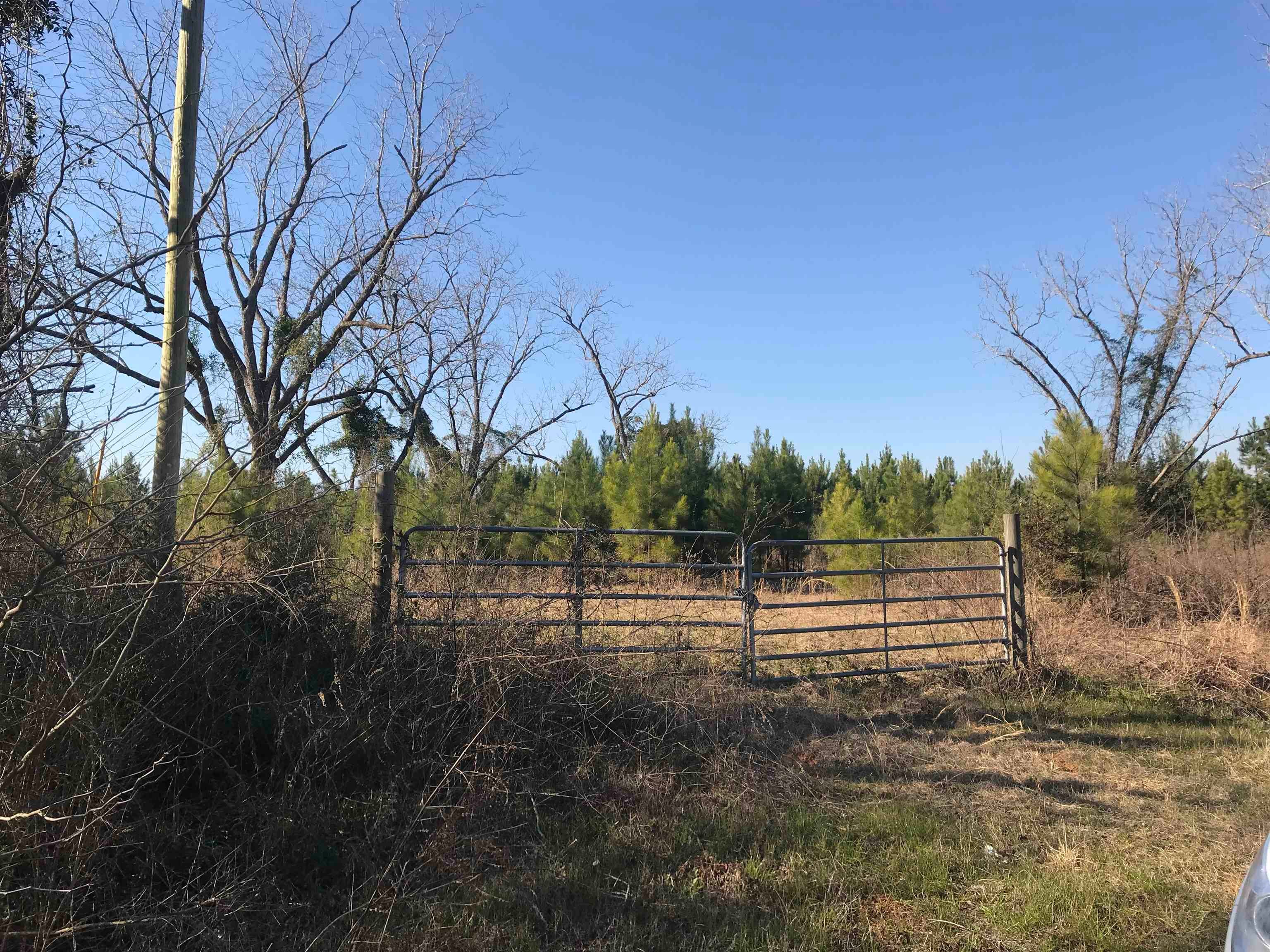 22-ac Hesters Store Road Red Level, AL 36474 - Photo 1 of 7 Gallery Image 1