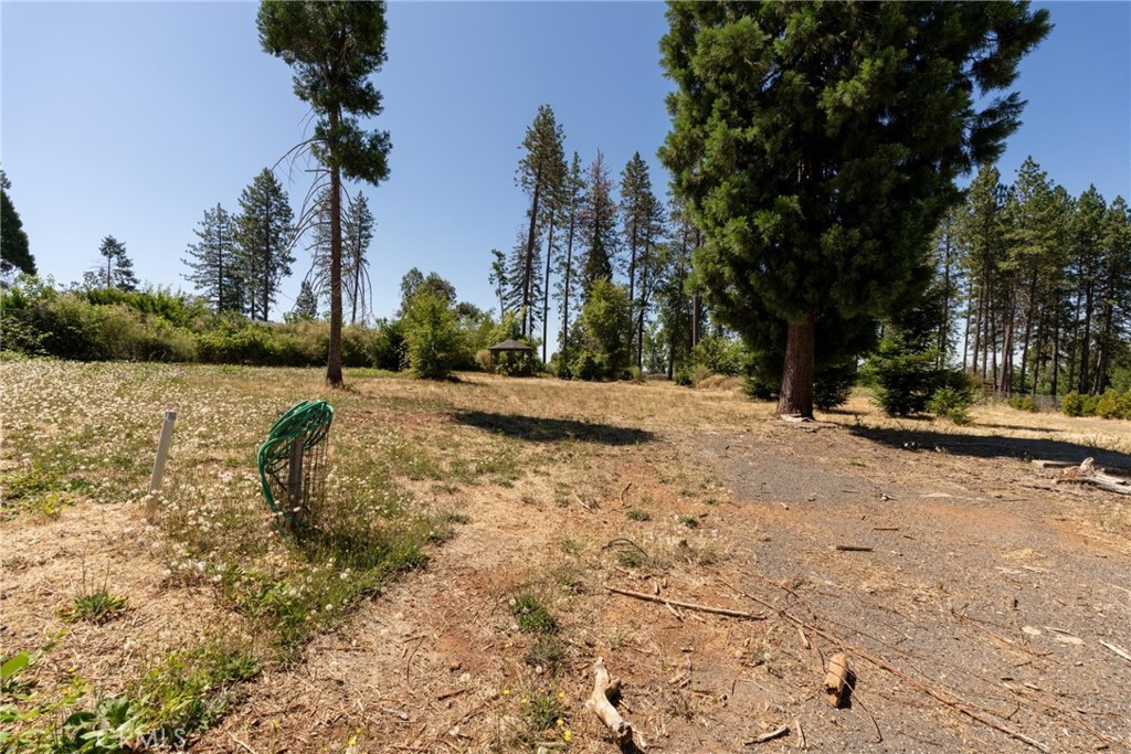 1368 Brill Road Paradise, CA 95969 - Photo 13 of 14