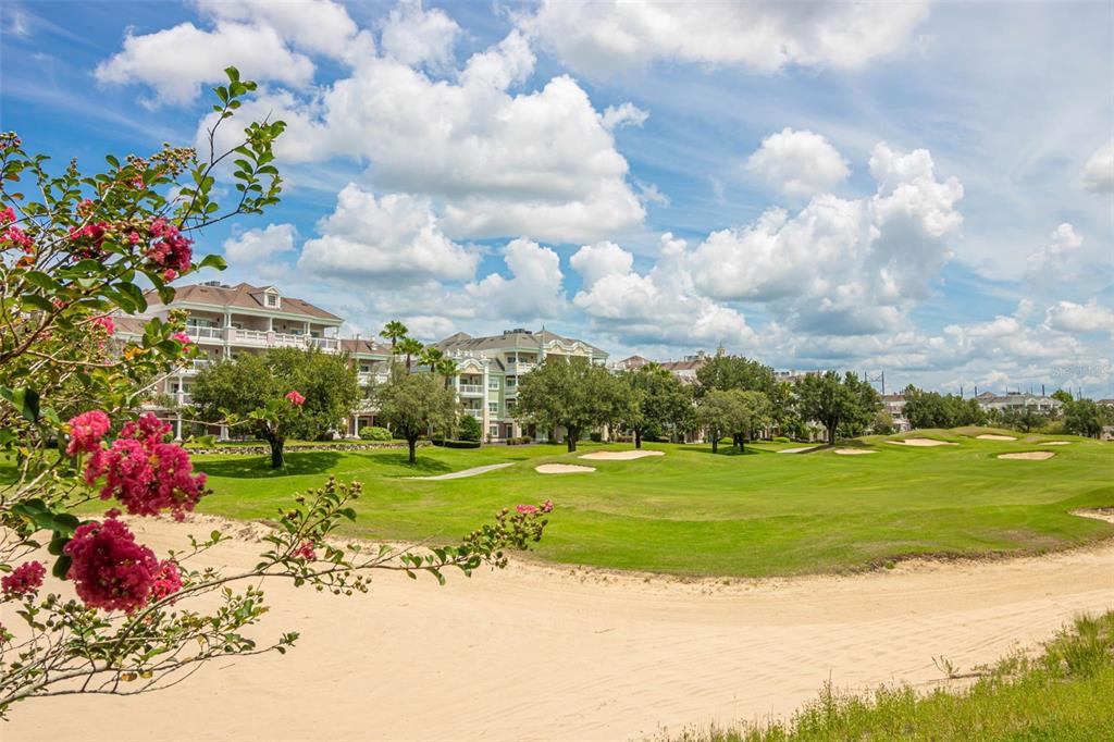 1100 Sunset View Circle, Unit 302 Reunion, FL 34747 - Photo 34 of 56 a view of a big yard with plants and a large tree