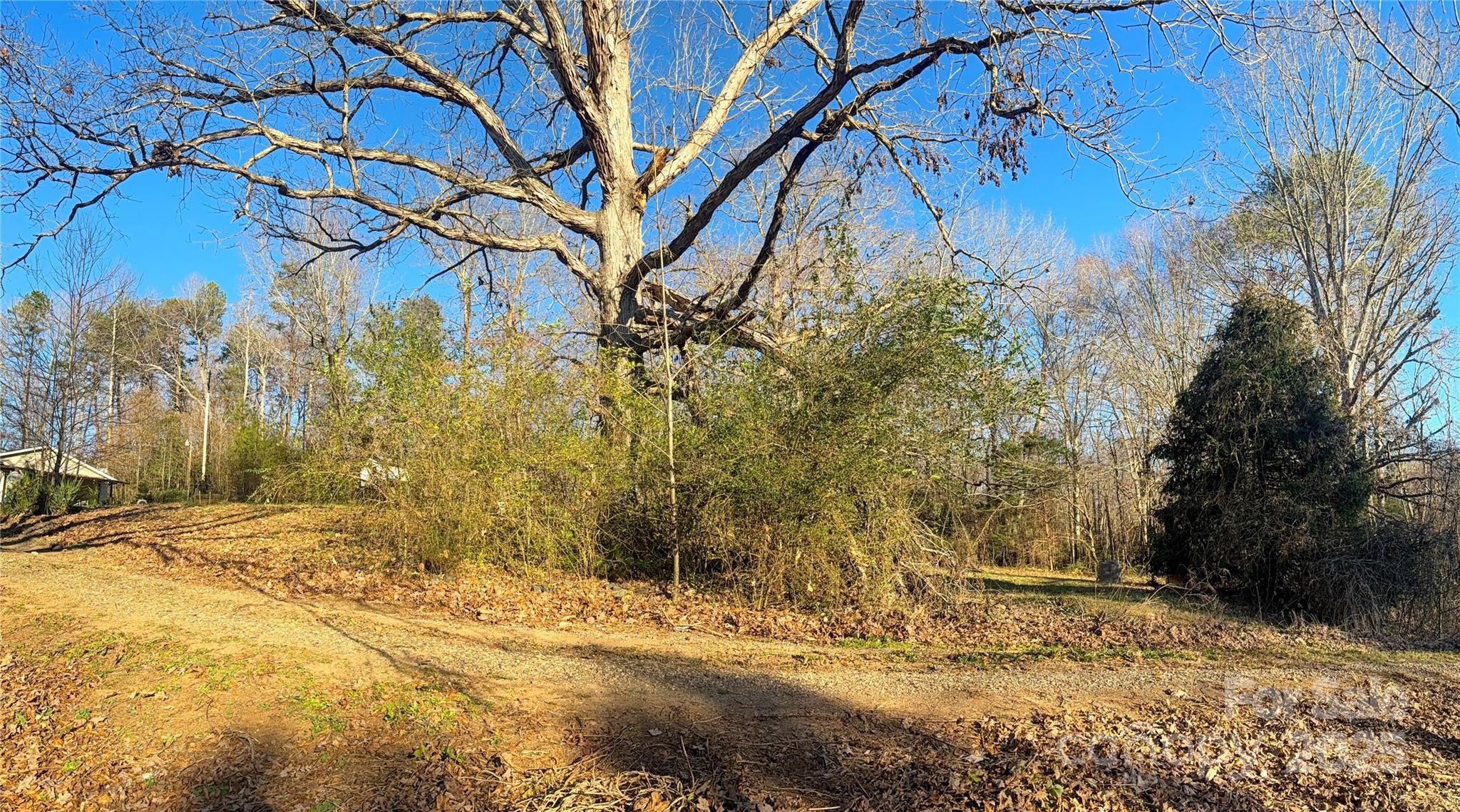 138 Rash Road Lincolnton, NC 28092 - Photo 28 of 41 a backyard of a house with large trees