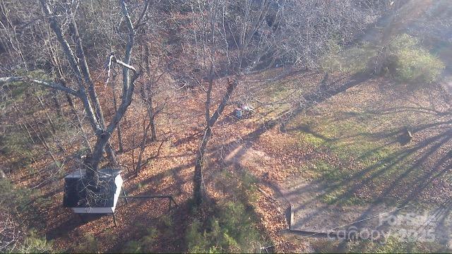 138 Rash Road Lincolnton, NC 28092 - Photo 37 of 41 a view of tree