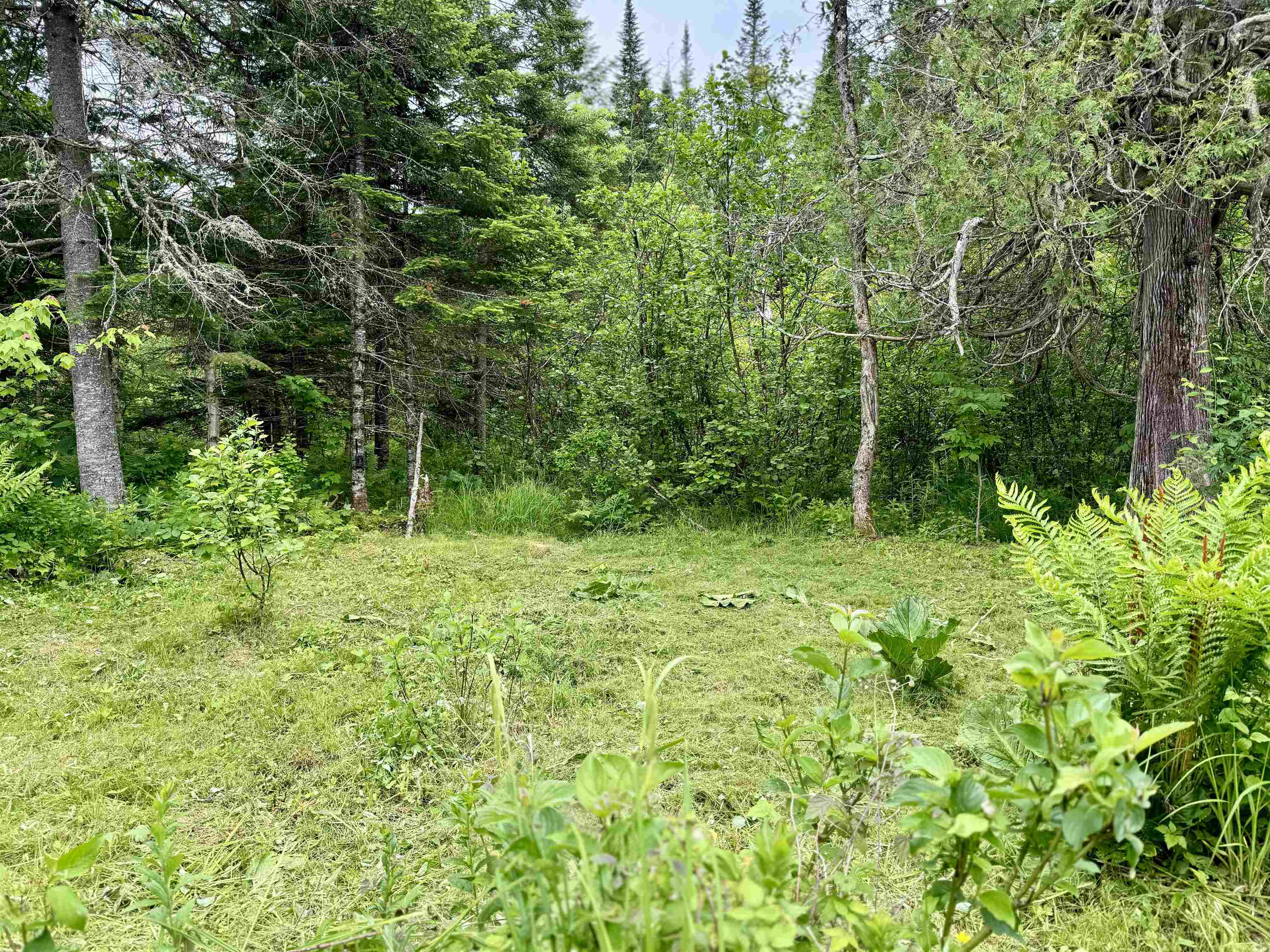 5 Rabbit Run Pittsburg, NH 03592 - Photo 23 of 40