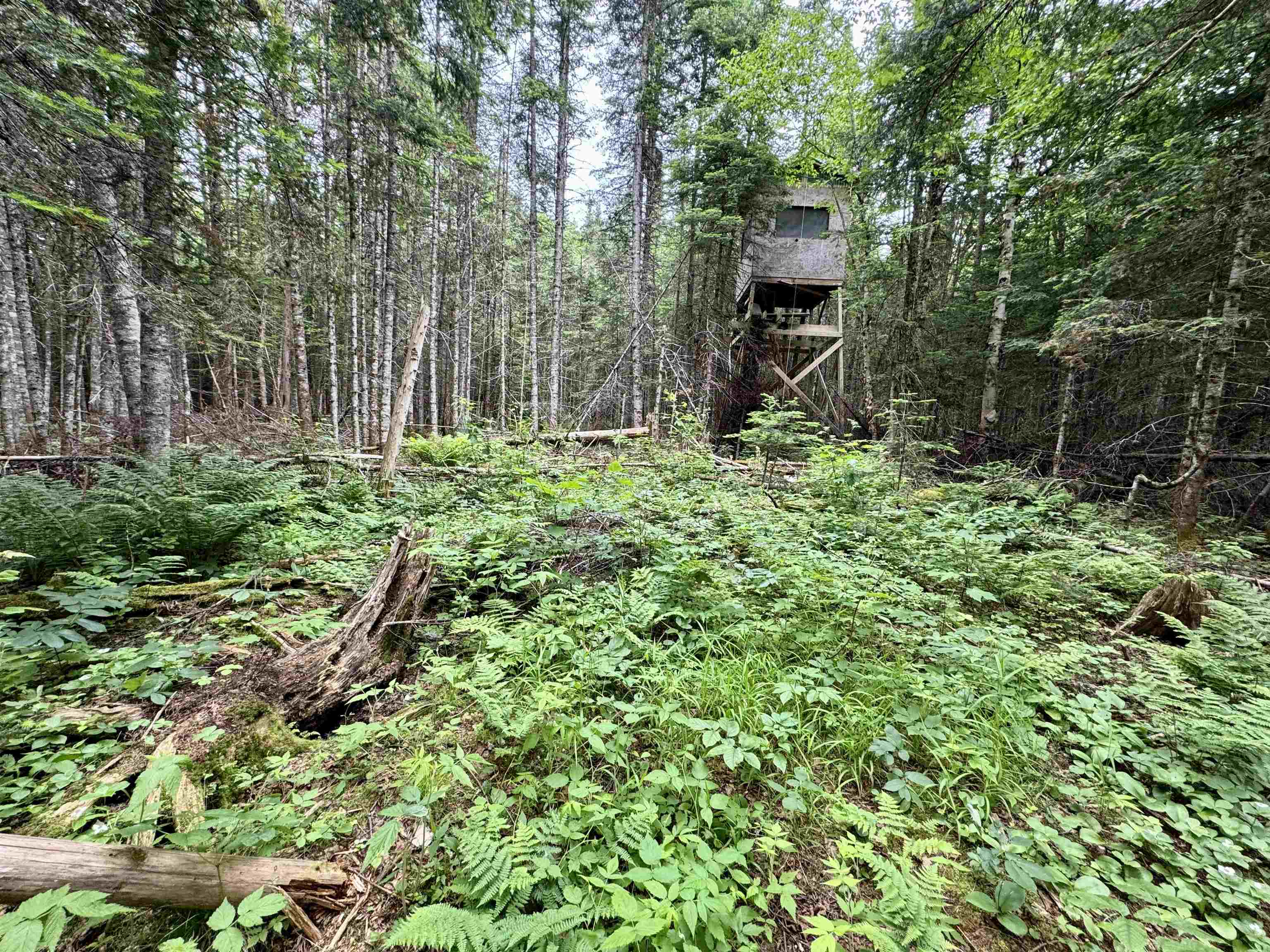 5 Rabbit Run Pittsburg, NH 03592 - Photo 33 of 40