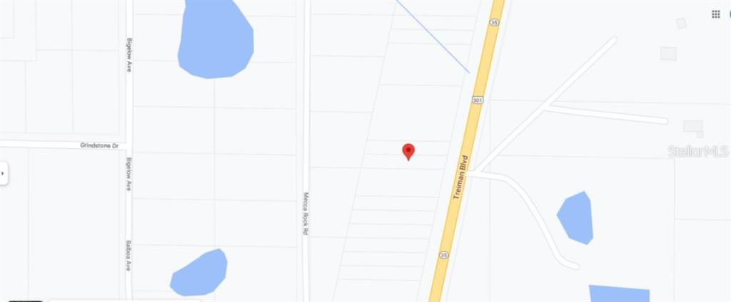 Treiman Boulevard Webster, FL 33597 - Photo 5 of 6
