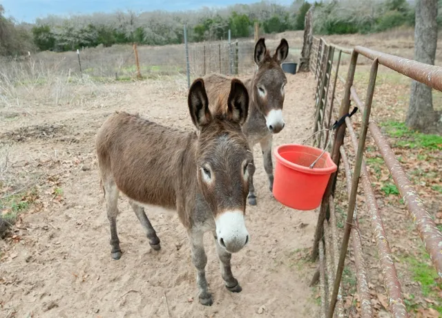 a view of an outdoor space with mountain view