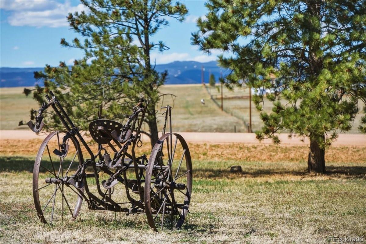 12720 South Mesa View Road Larkspur, CO 80118 - Photo 45 of 45 a view of yard