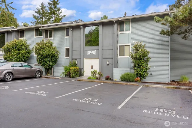 a view of a park with large trees
