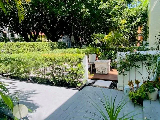 a view of a garden with plants and large trees
