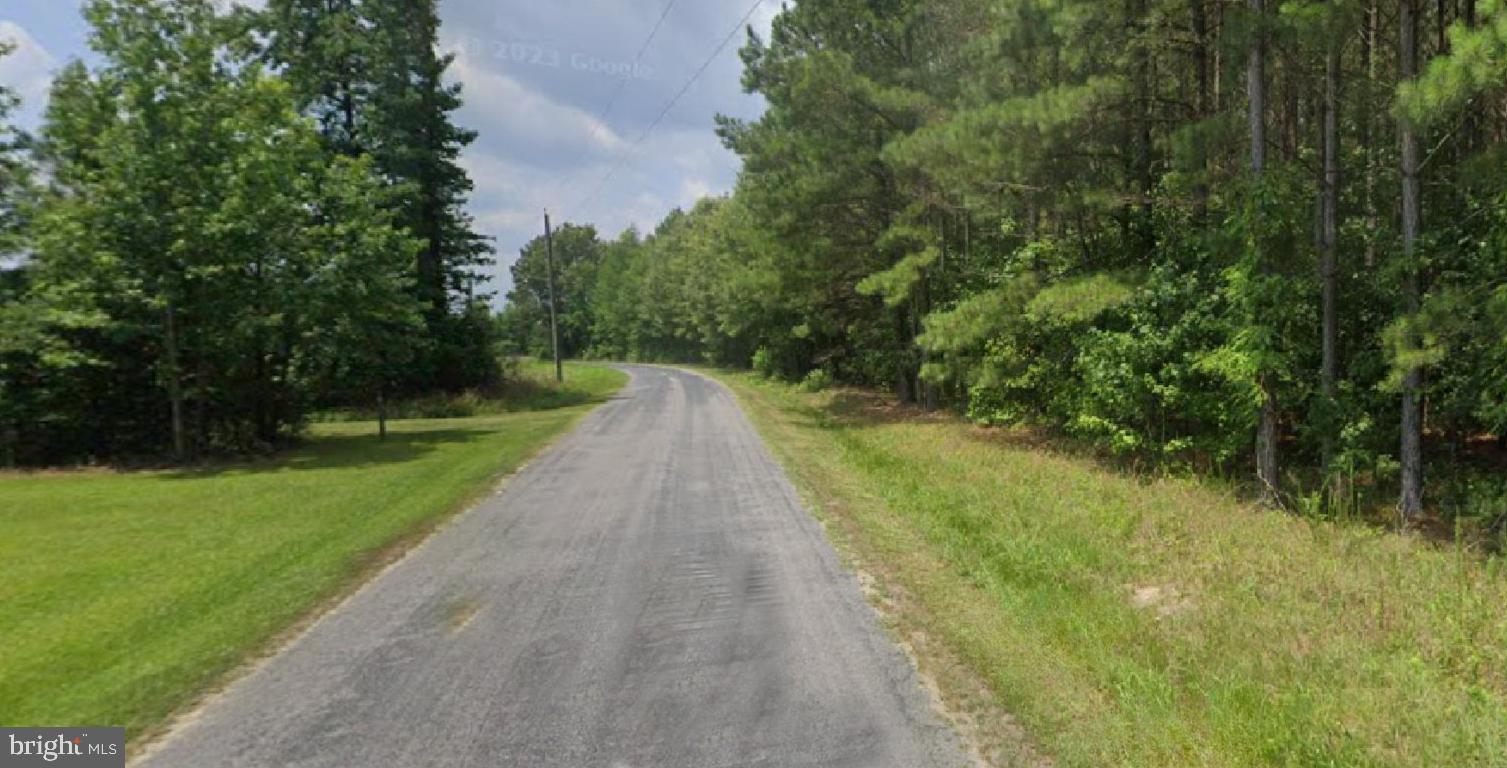1515 Fiddlers Road Emporia, VA 23847 - Photo 5 of 7 a view of a yard with plants and large trees
