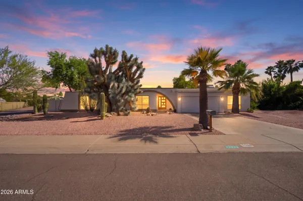 a view of outdoor space with palm trees