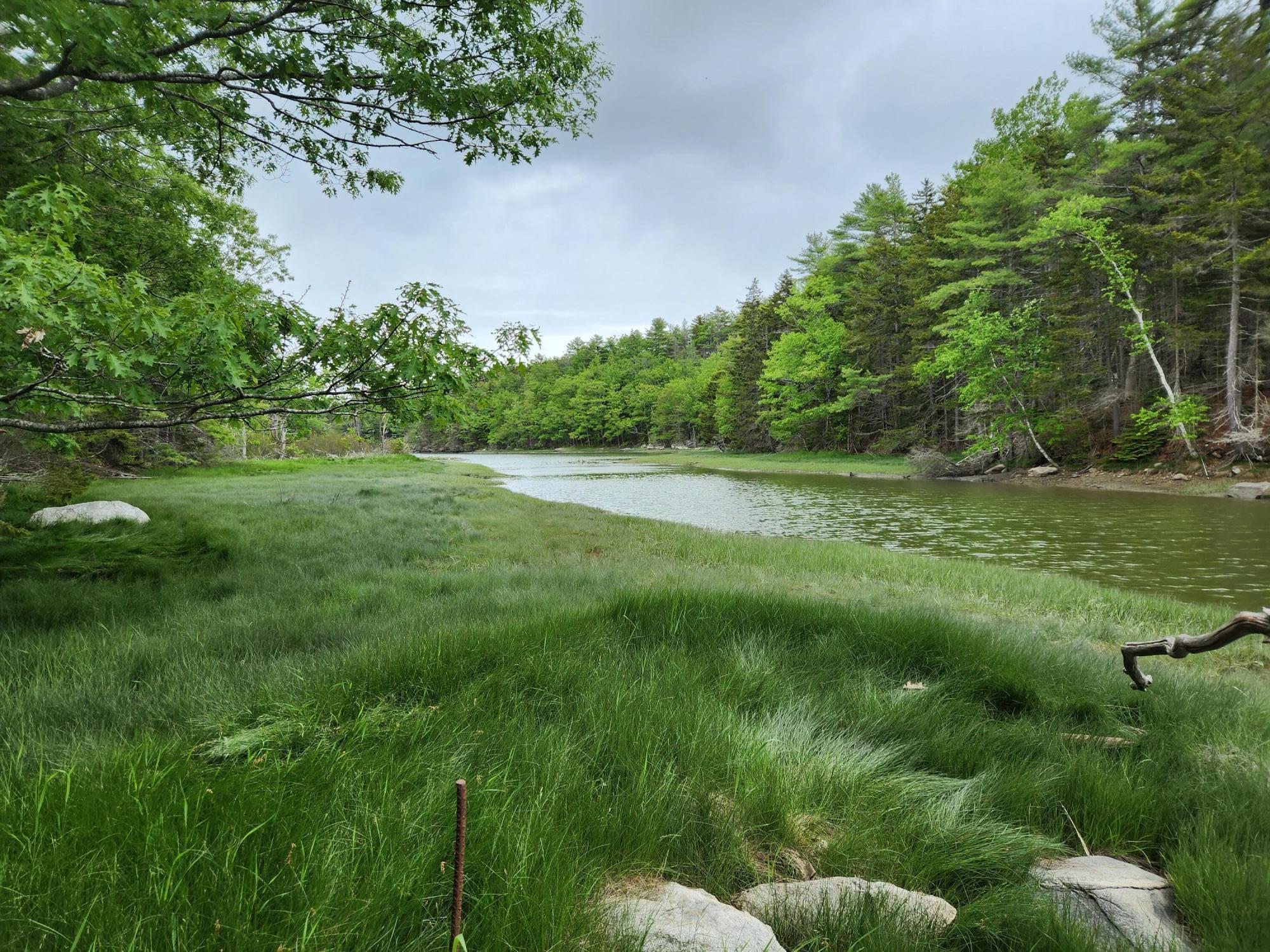 131 River Road Edgecomb, ME 04556 - Photo 9 of 28 20230606_153335