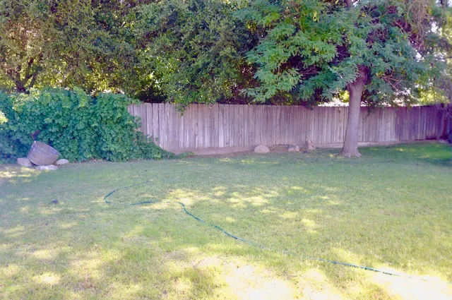 a view of backyard with tree