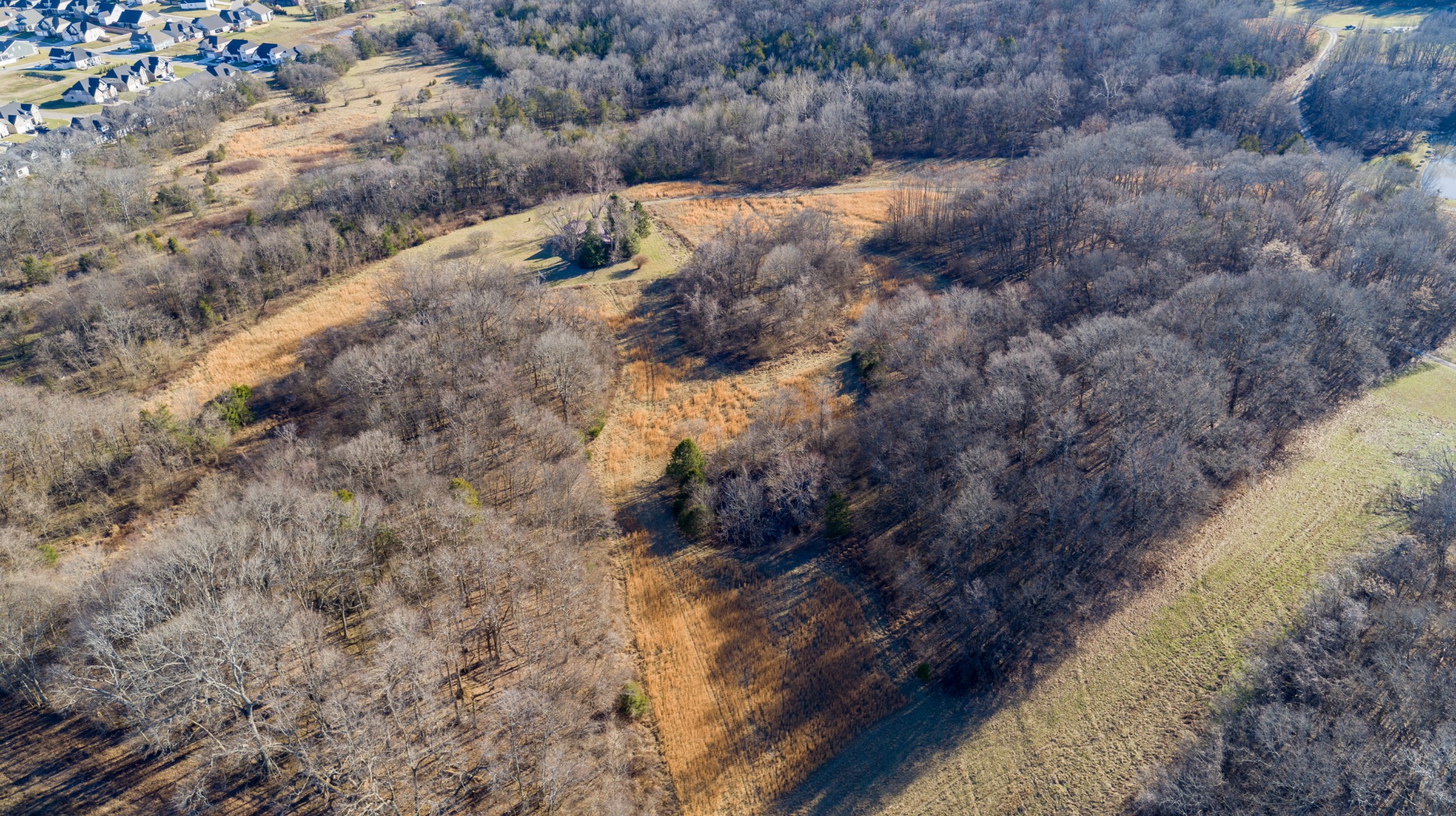 6588 Lee Road Smyrna, TN 37167 - Photo 3 of 5 a view of a dry yard with trees