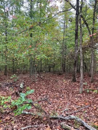 $28,762 | 153 Madison Cr, Fredericktown, MO 63645