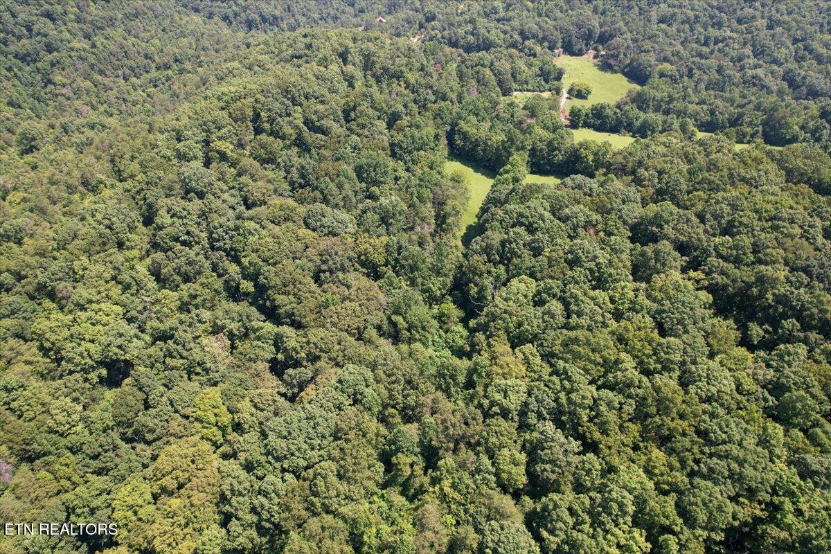 Clinch River Road Tazewell, TN 37879 - Photo 11 of 22 02-DJI_0871