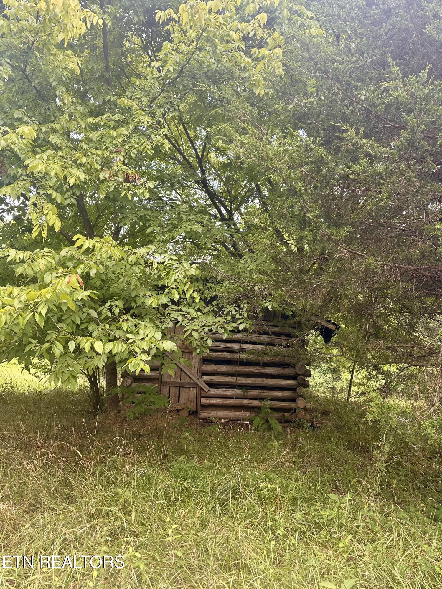 Clinch River Road Tazewell, TN 37879 - Photo 12 of 22 IMG_8476