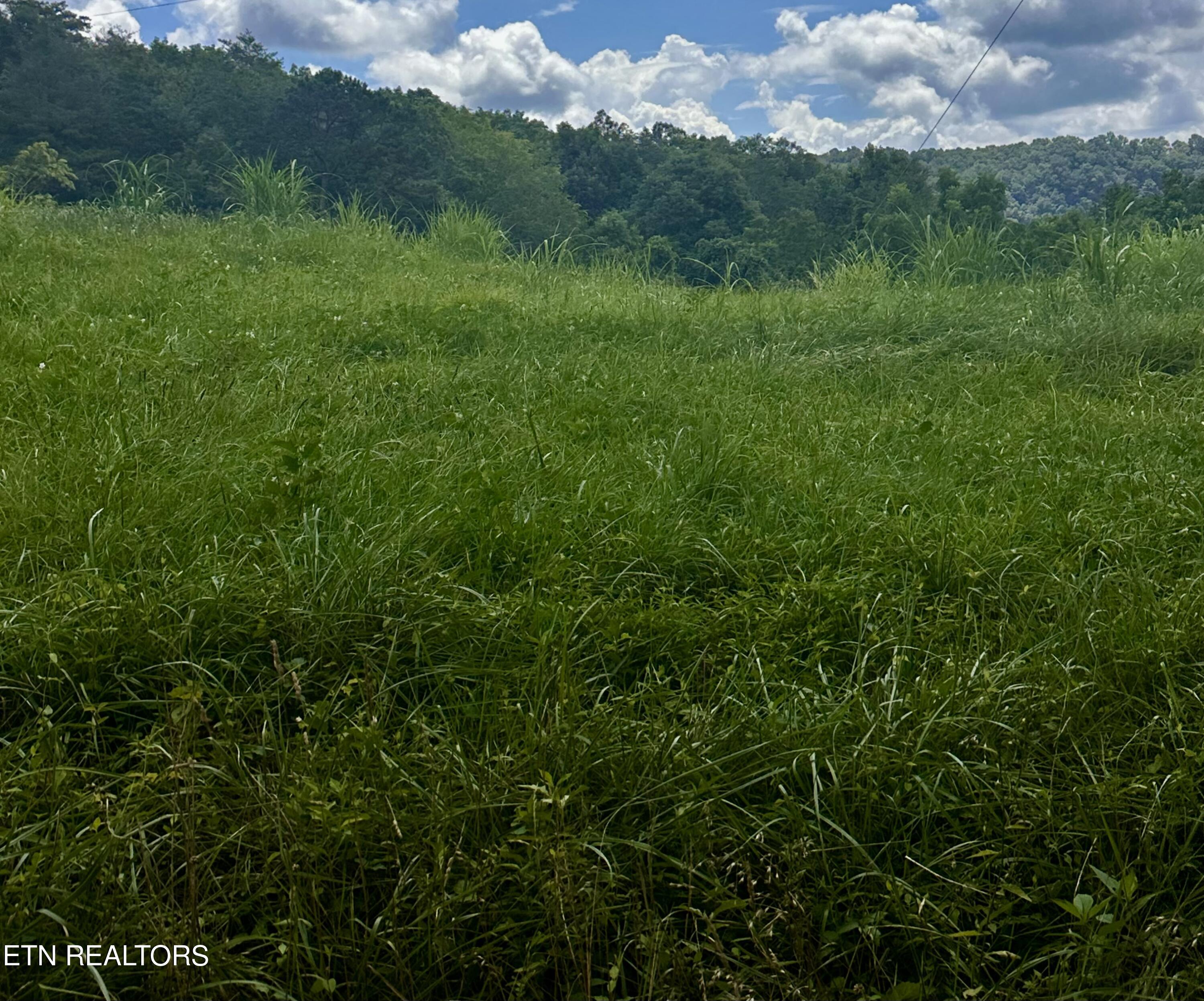 Clinch River Road Tazewell, TN 37879 - Photo 13 of 22 IMG_8480