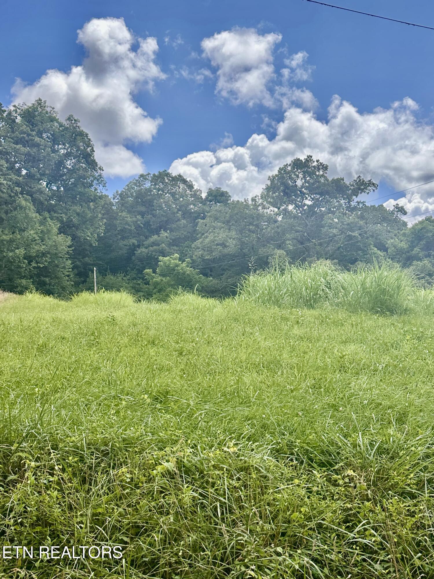 Clinch River Road Tazewell, TN 37879 - Photo 14 of 22 IMG_8479