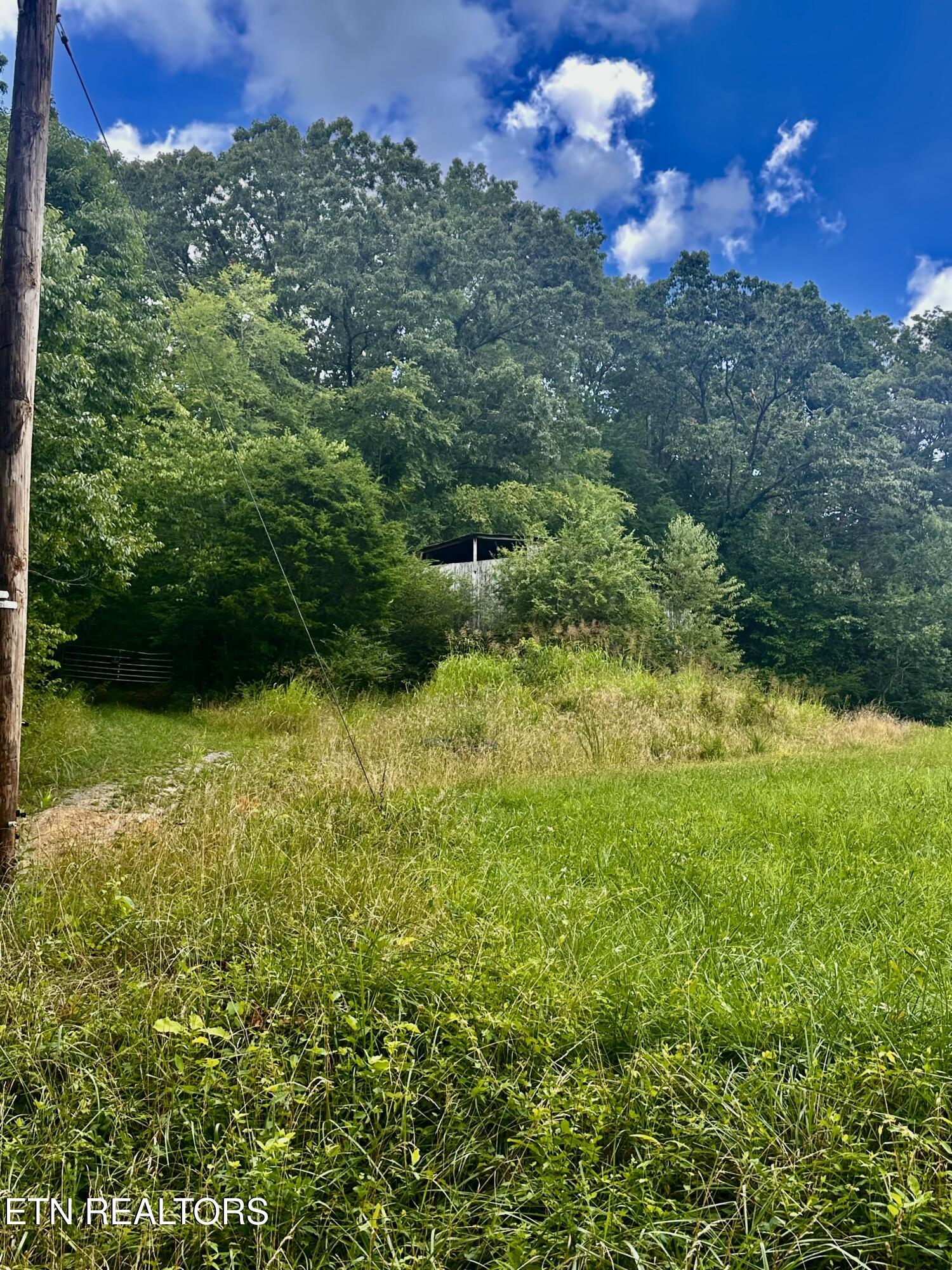 Clinch River Road Tazewell, TN 37879 - Photo 15 of 22 IMG_8478