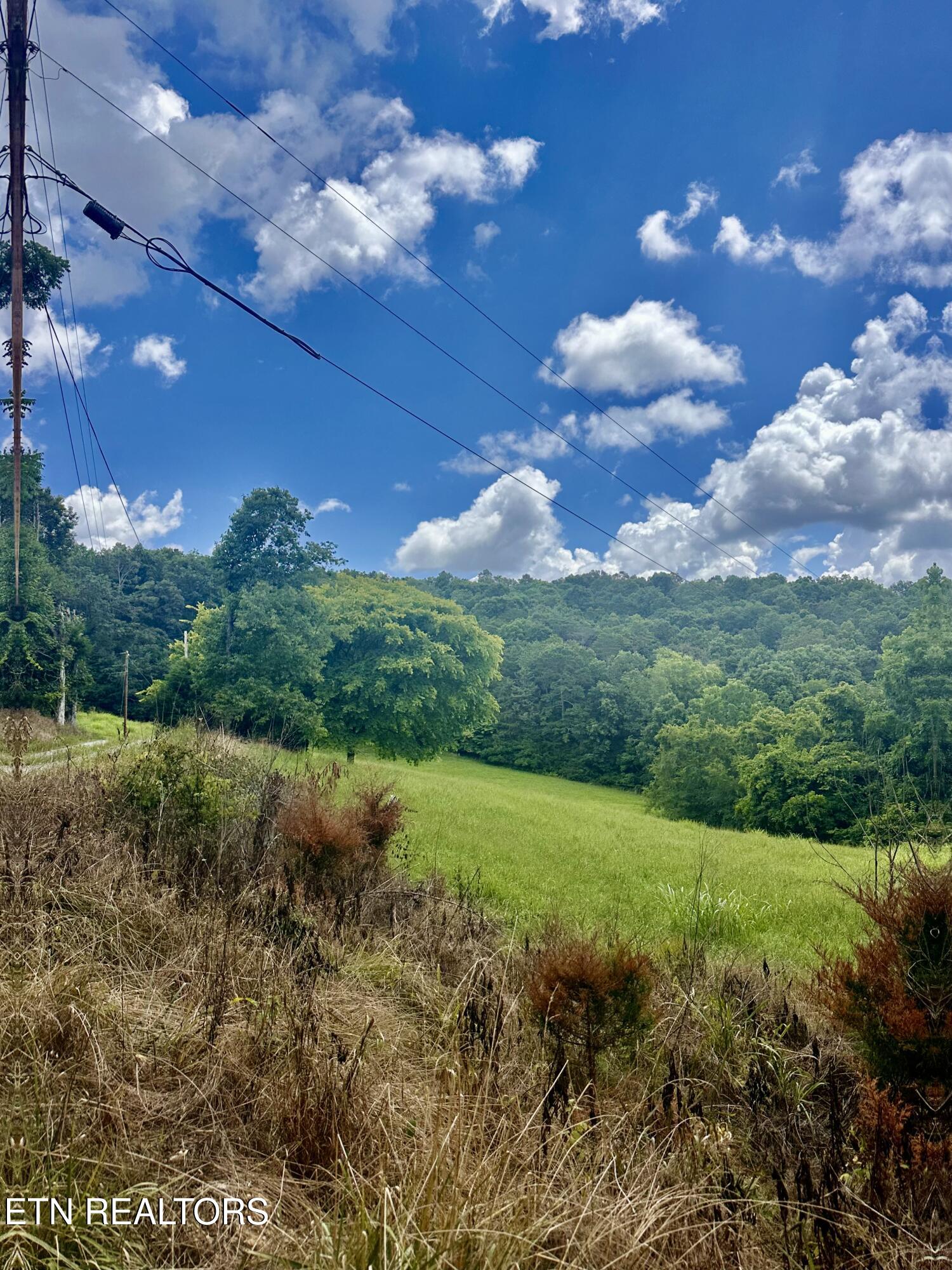 Clinch River Road Tazewell, TN 37879 - Photo 17 of 22 IMG_8472