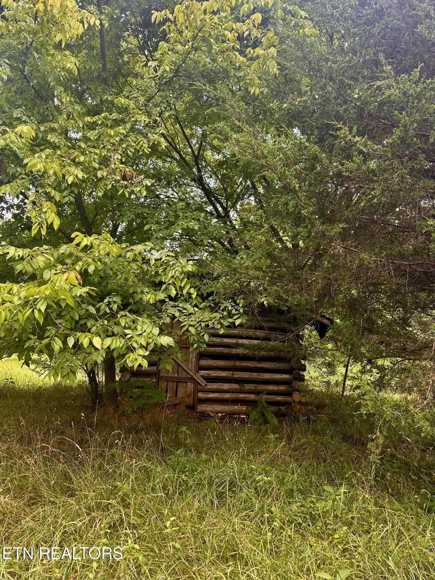 Clinch River Road Tazewell, TN 37879 - Photo 19 of 22 IMG_8477