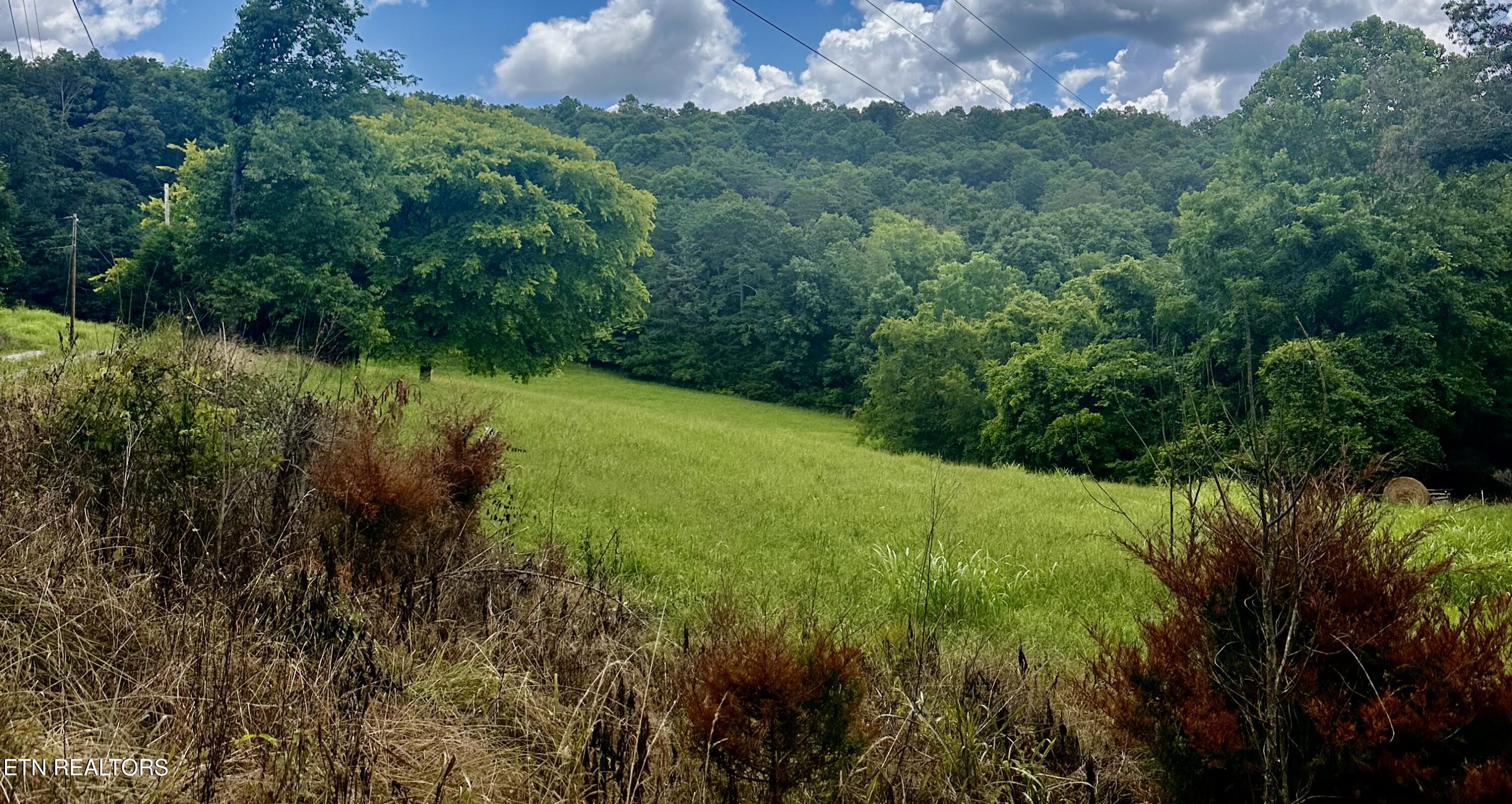 Clinch River Road Tazewell, TN 37879 - Photo 4 of 22 IMG_8473