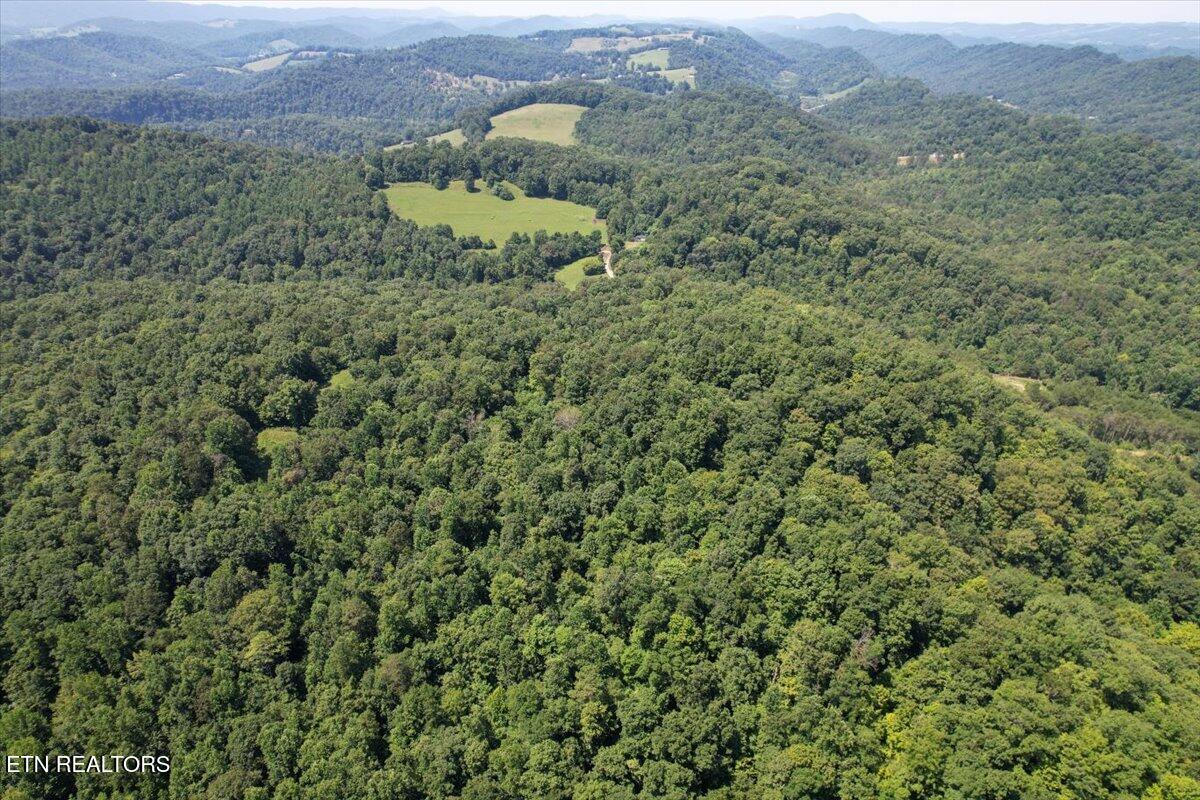 Clinch River Road Tazewell, TN 37879 - Photo 10 of 22 24-DJI_0877