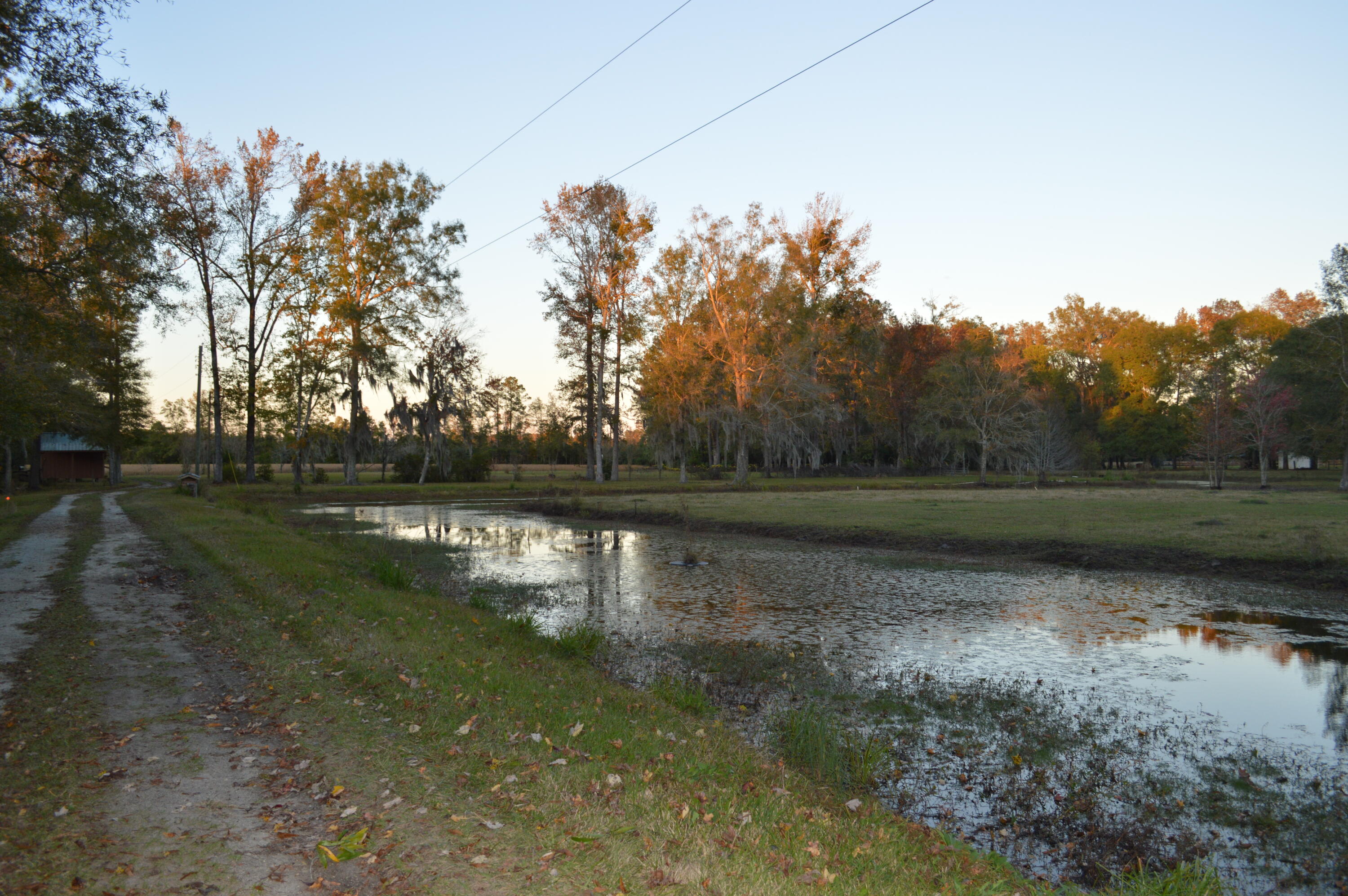 114 Van L Road Kingstree, SC 29556 - Photo 59 of 201 DSC_0147