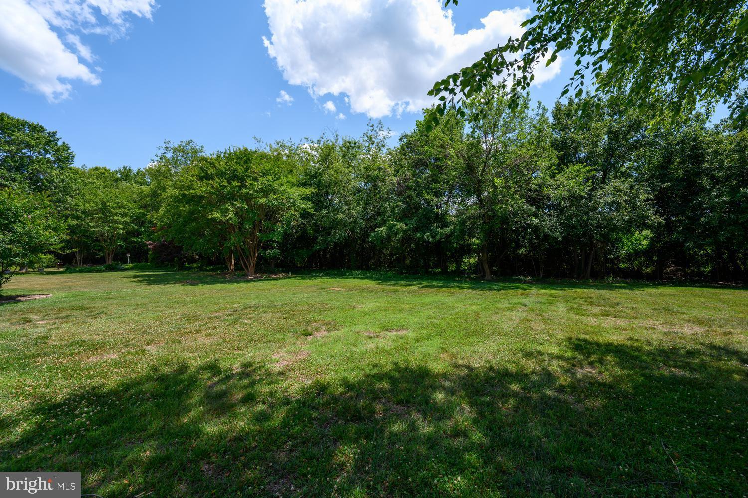 29152 Holly Road Easton, MD 21601 - Photo 8 of 35